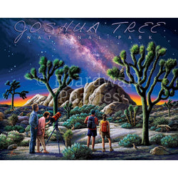Joshua Tree National Park 500 Piece Jigsaw Puzzle Boardwalk (ONLINE ORDER ONLY)