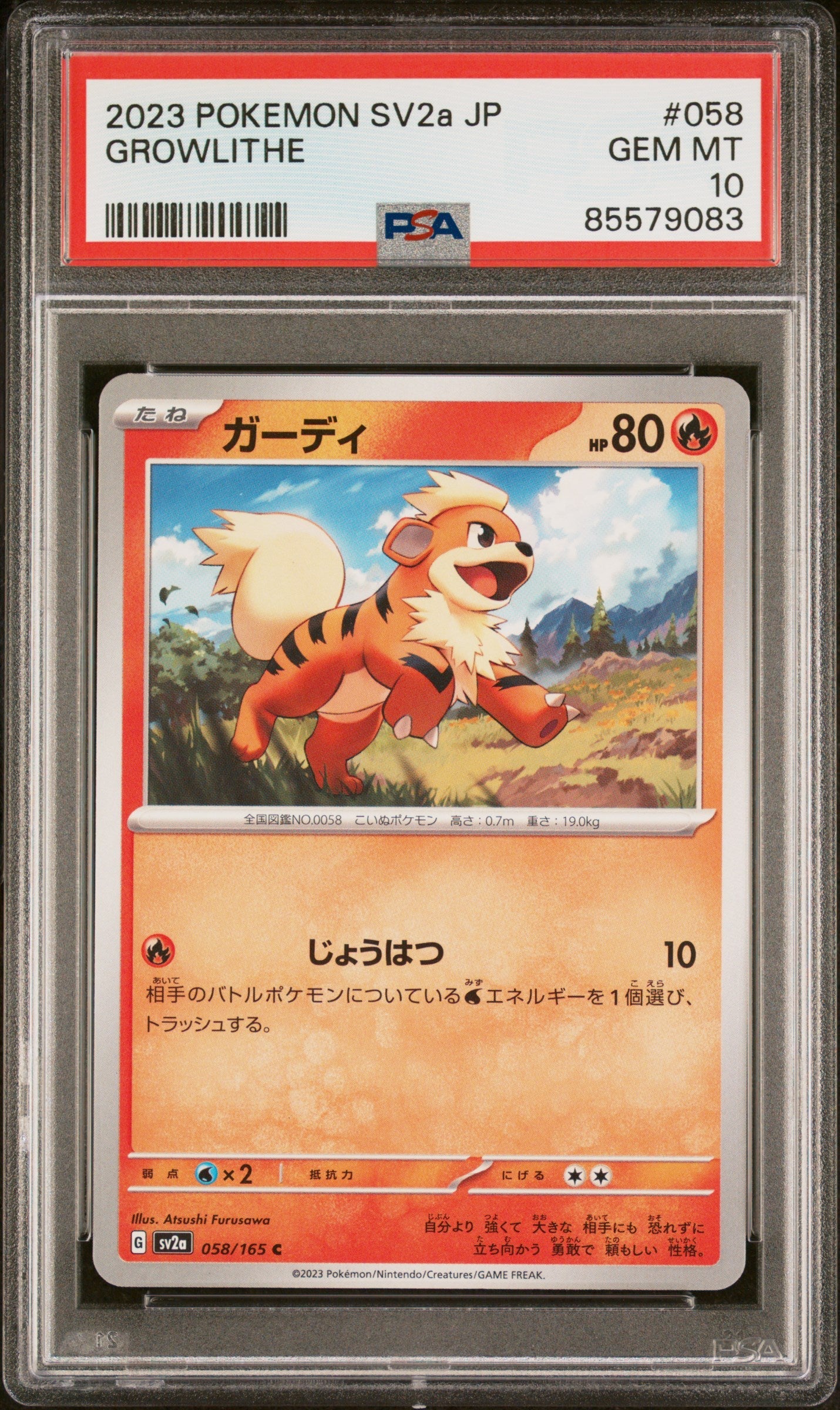 2023 POKEMON JAPANESE SV2a-POKEMON 151 GROWLITHE #58 -  PSA  10 (Online Order Only)