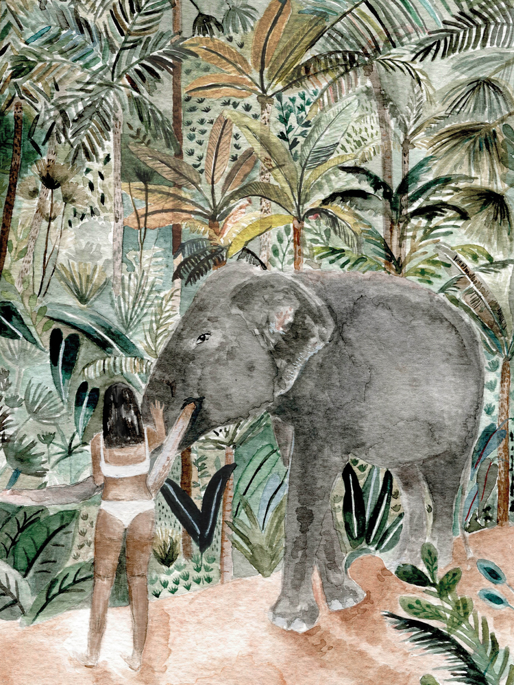 Jungle Afternoons, Isabelle Vandeplassche (Online Order Only)