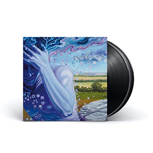 The Absence Of Presence (With Booklet, 180 Gram Vinyl, Gatefold LP Jacket) [Vinyl] (ONLINE ORDER ONLY)