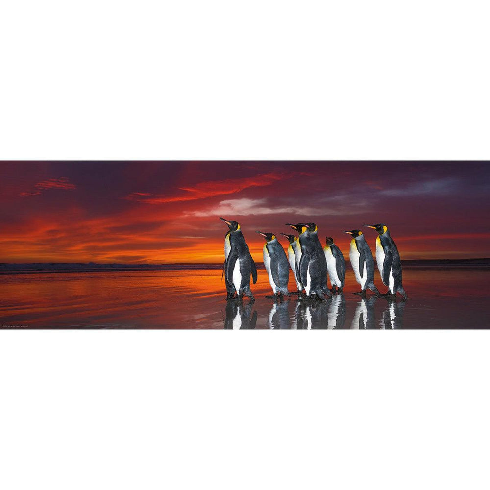 King Penguins 1000 Piece Panoramic Jigsaw Puzzle Heye (ONLINE ORDER ONLY)