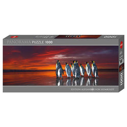 King Penguins 1000 Piece Panoramic Jigsaw Puzzle Heye