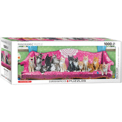 Kitty Cat Couch 1000 Piece Panoramic Jigsaw Puzzle Eurographics (ONLINE ORDER ONLY)