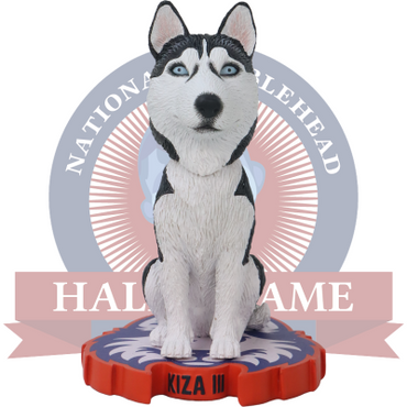 Kiza III Houston Christian Huskies Live Husky Bobblehead (ONLINE ORDER ONLY)