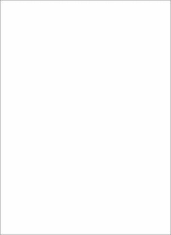 LGNYGODMW White Small Deck Protector Sleeves Double Matte (ONLINE ORDER ONLY)