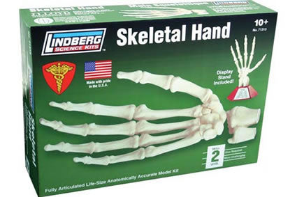 LIN71313 Skeletal Hand Educational Plastic Model Kit Lindberg (ONLINE ORDER ONLY)