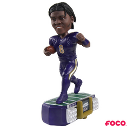 NFL Stadium Lights Bobbleheads (ONLINE ORDER ONLY)