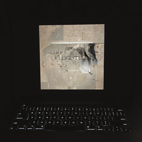 The Bible (Yellow/Black vinyl, IEX, W/Download) (2LP) [Vinyl] (ONLINE ORDER ONLY)