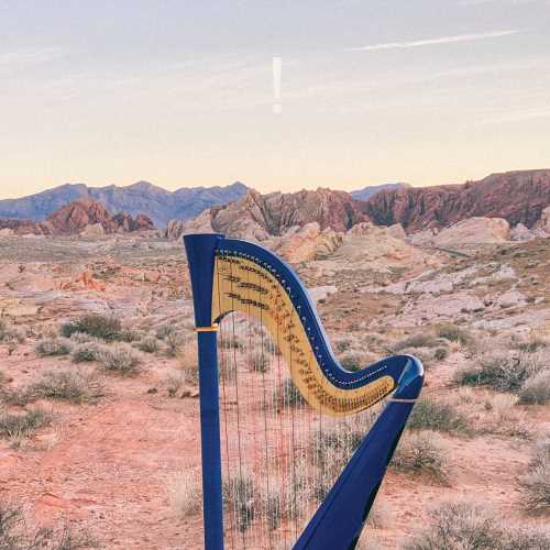 ! [LP] [Vinyl] (ONLINE ORDER ONLY)