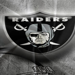 Las Vegas Raiders Bedding Set Duvet Cover Without Filler (Online Order Only)