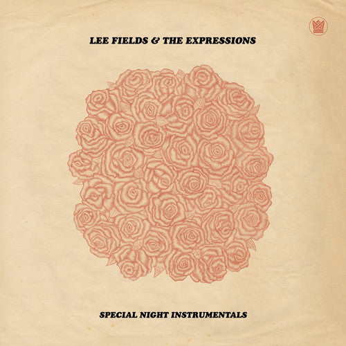 Special Night Instrumentals (LP) [Vinyl] (ONLINE ORDER ONLY)