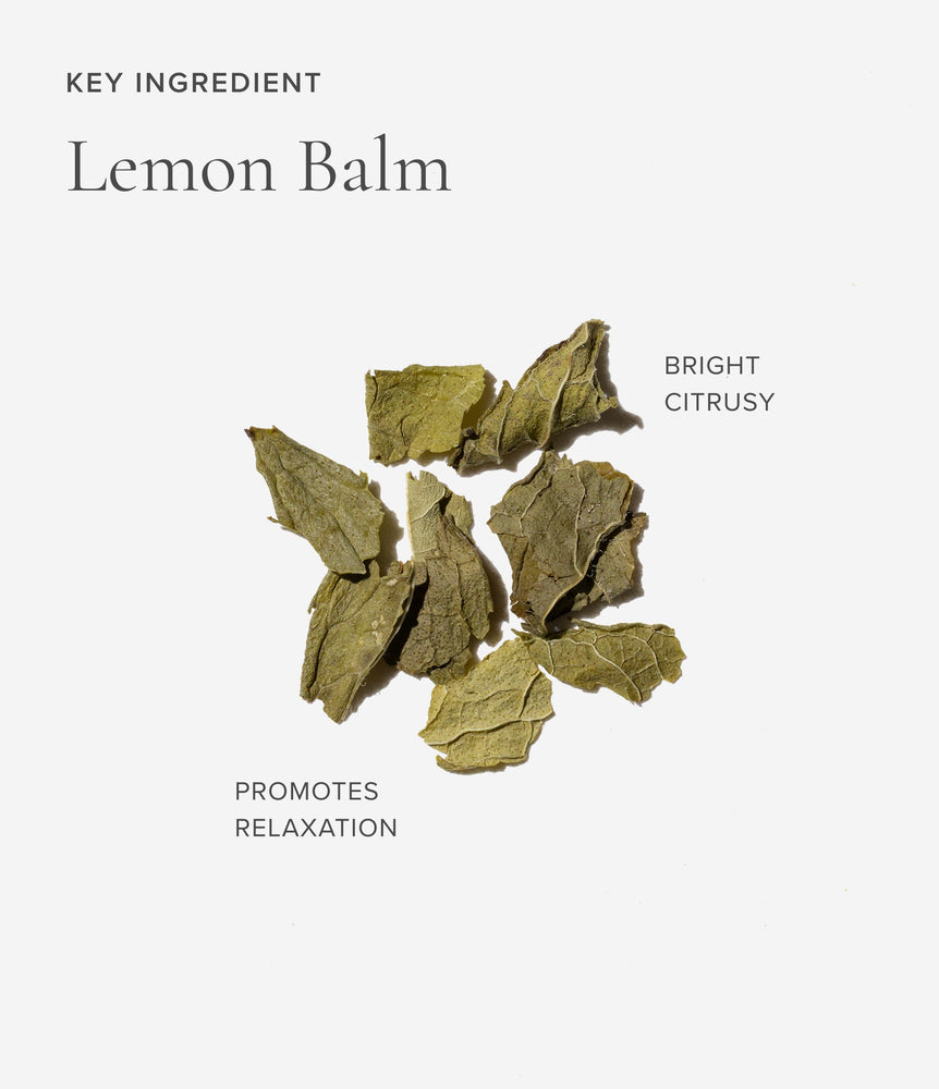 Sleep Tea Pyramid Teabags