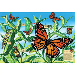 Life Cycle of a Monarch Butterfly 48 Piece Floor Jigsaw Puzzle Cobble Hill (ONLINE ORDER ONLY)