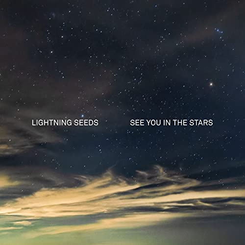 See You in the Stars [Vinyl]
