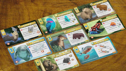 Life of the Amazonia: Mini-Expansion (ONLINE ORDER ONLY)