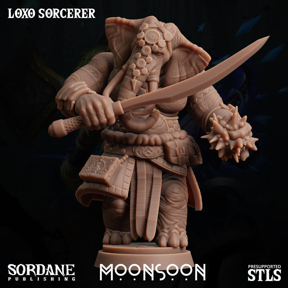3D Printed Sordane Publishing Loxo Sorcerer Moonsoon 28 32mm D&D (Online Only)