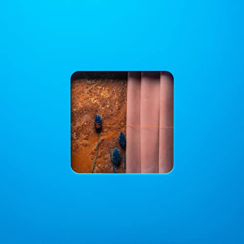 VICTIM OF A MODERN AGE [Vinyl]