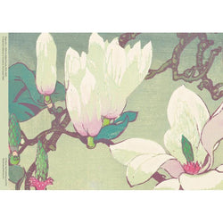 Magnolia by Mabel Royds 500 Piece Jigsaw Puzzle Flame Tree
