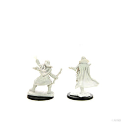 Pathfinder Battles: Deep Cuts - Elf Sorcerer Male (ONLINE ORDER ONLY)