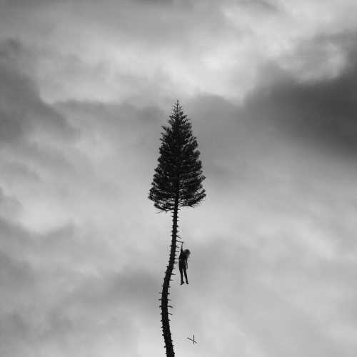 A Black Mile To The Surface [Gray Marble 2 LP] [Vinyl]
