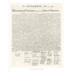 Map of DC & Declaration of Independence 1000 Piece Jigsaw Puzzle Pomegranate