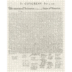 Map of DC & Declaration of Independence 1000 Piece Jigsaw Puzzle Pomegranate