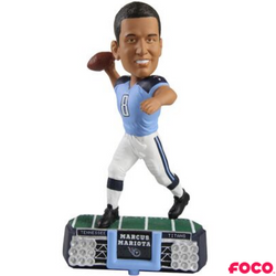 NFL Stadium Lights Bobbleheads (ONLINE ORDER ONLY)