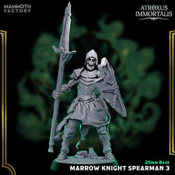 Marrow Knight Spearmen – Undead Draugr Skeletal Soldier Miniatures (ONLINE ORDER ONLY)