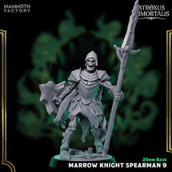 Marrow Knight Spearmen – Undead Draugr Skeletal Soldier Miniatures (ONLINE ORDER ONLY)