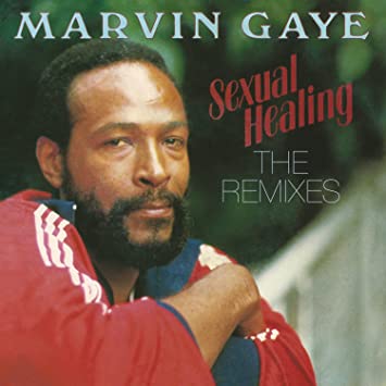 Sexual Healing: The Remixes [Vinyl]