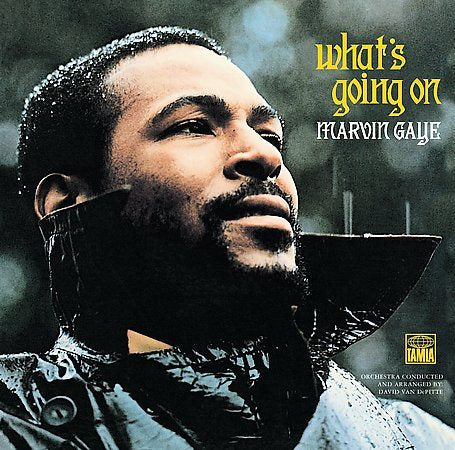 WHAT'S GOING ON (VIN [Vinyl] (ONLINE ORDER ONLY)