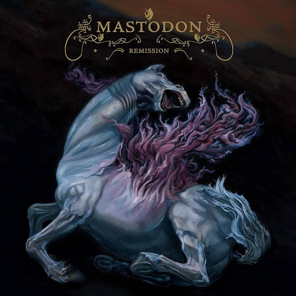 Remission [Vinyl] (ONLINE ORDER ONLY)