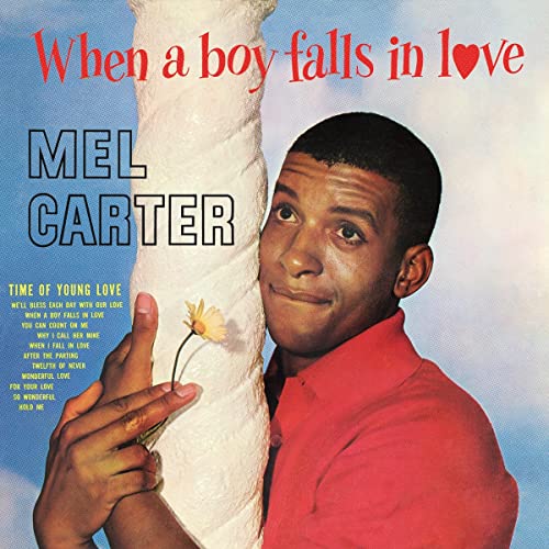 When A Boy Falls In Love [LP] [Vinyl]