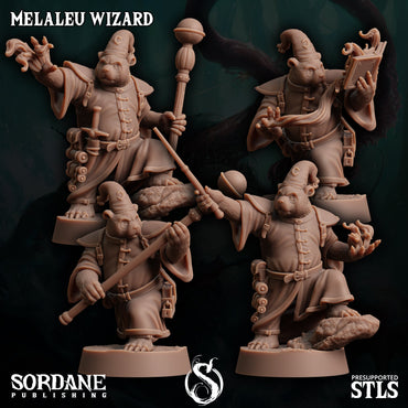 3D Printed Sordane Publishing Melaleu Wizard 28 32mm D&D (Online Only)