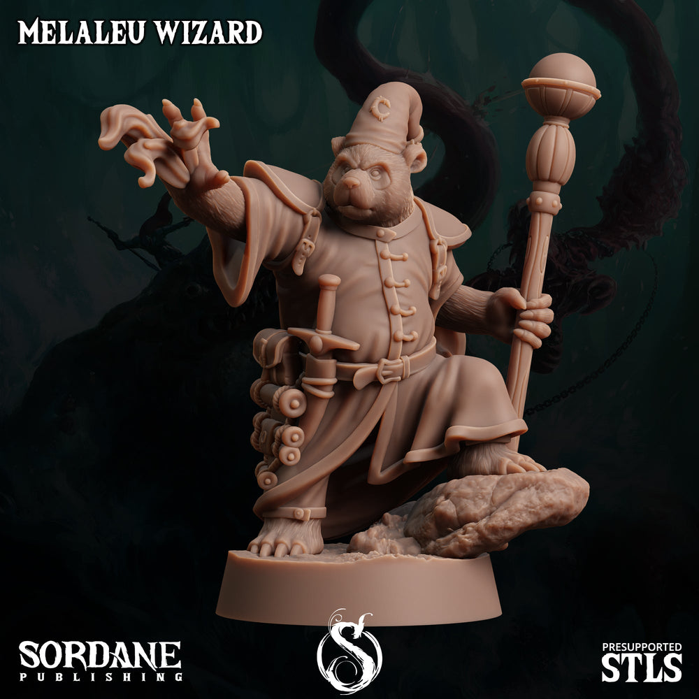 3D Printed Sordane Publishing Melaleu Wizard 28 32mm D&D (Online Only)