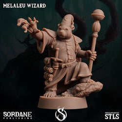 3D Printed Sordane Publishing Melaleu Wizard 28 32mm D&D (Online Only)