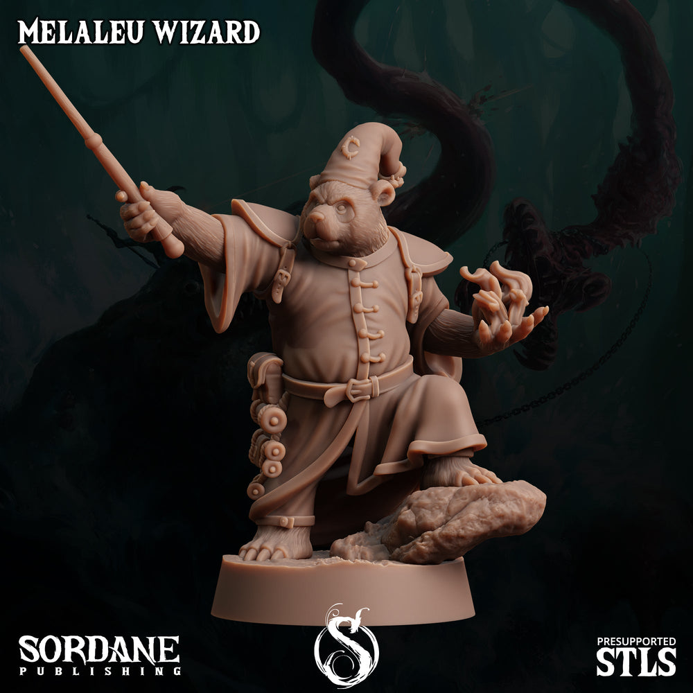 3D Printed Sordane Publishing Melaleu Wizard 28 32mm D&D (Online Only)