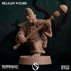 3D Printed Sordane Publishing Melaleu Wizard 28 32mm D&D (Online Only)