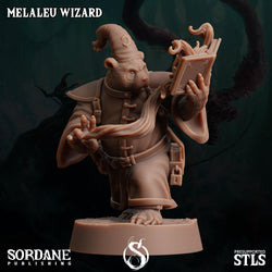 3D Printed Sordane Publishing Melaleu Wizard 28 32mm D&D (Online Only)