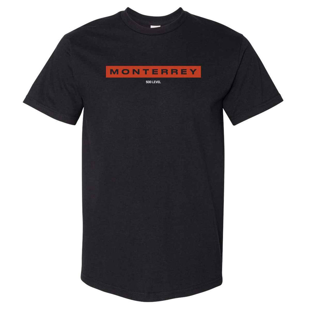Monterrey Osos Wordmark Logo WHT