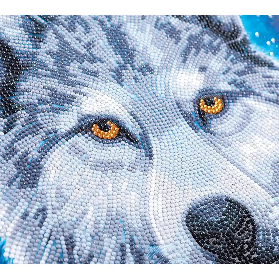 Midnight Wolf Crystal Art Framed Canvas Kit Craft Buddy (ONLINE ORDER ONLY)