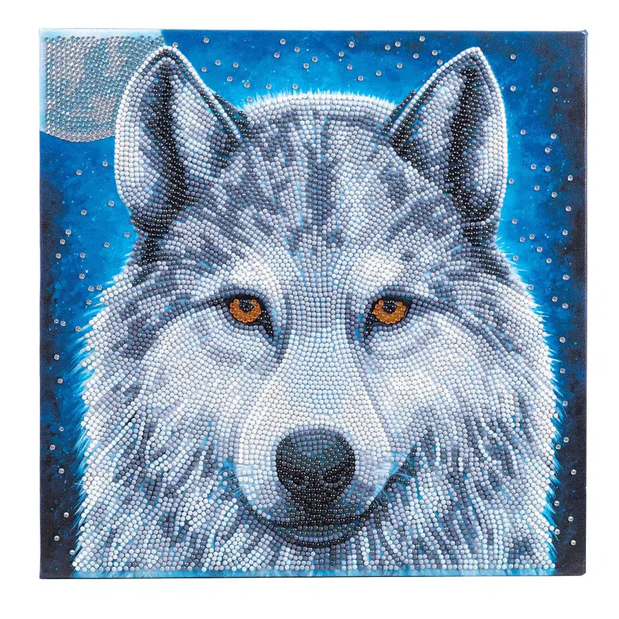 Midnight Wolf Crystal Art Framed Canvas Kit Craft Buddy (ONLINE ORDER ONLY)