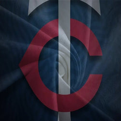 Minnesota Twins Bedding Set Quilt Cover Without Filler (Online Order Only)