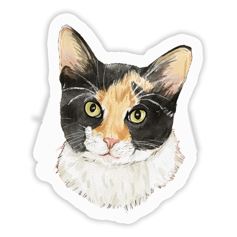 Faces Of Kitty Town Sticker Pack (Online Order Only)