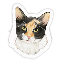 Faces Of Kitty Town Sticker Pack (Online Order Only)