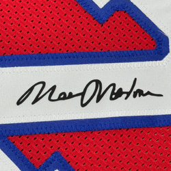 Framed Facsimile Autographed Moses Malone 35x39 Philadelphia Red Reprint Laser Auto Basketball Jersey (ONLINE ORDER ONLY)