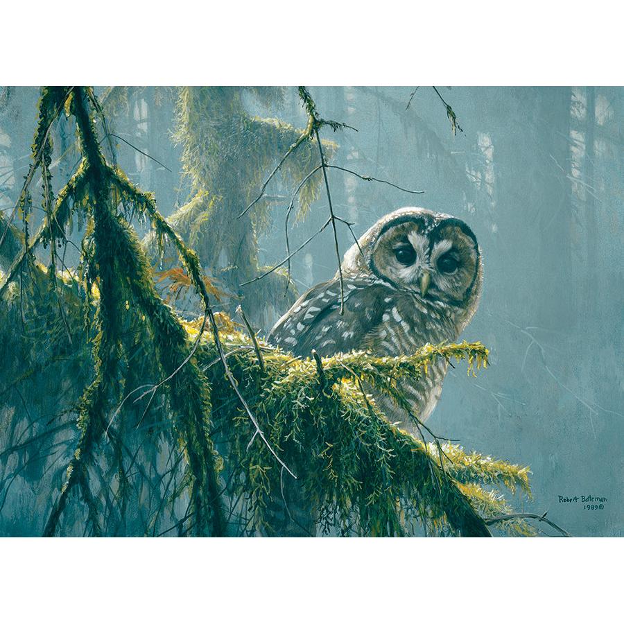 Mossy Branches - Spotted Owl 500 Piece Jigsaw Puzzle Cobble Hill (ONLINE ORDER ONLY)
