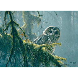 Mossy Branches - Spotted Owl 500 Piece Jigsaw Puzzle Cobble Hill (ONLINE ORDER ONLY)