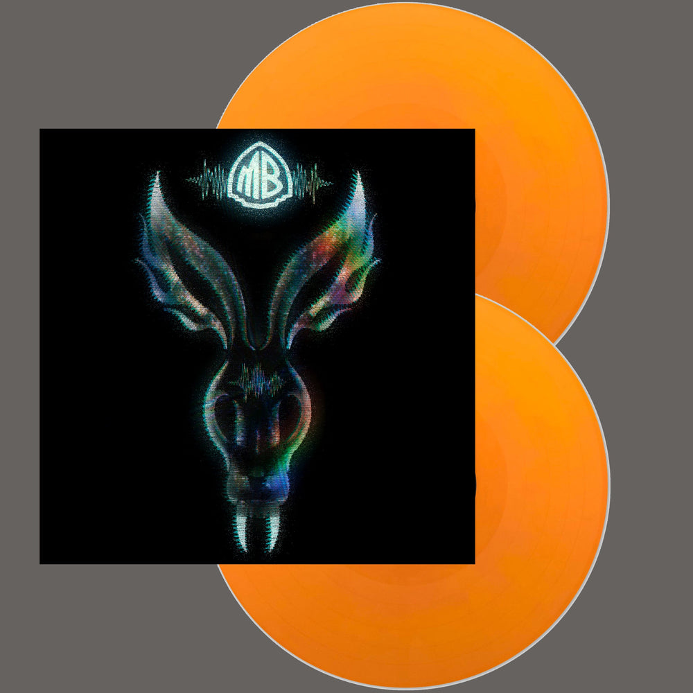 The Night They Came Home (Indie LP) [Vinyl] (ONLINE ORDER ONLY)