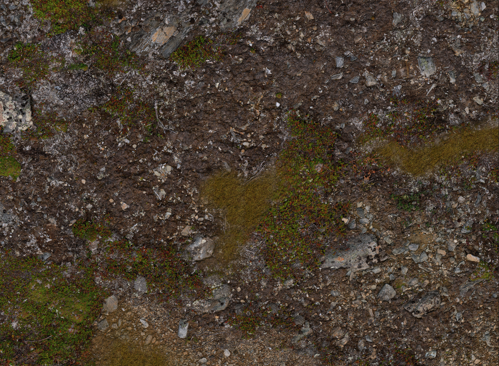 Muddy Battlefield - Neoprene Battle Mat with Bag (Online Order Only)